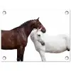Paard - Modern - Balans tuinposter los doek klein -3d
