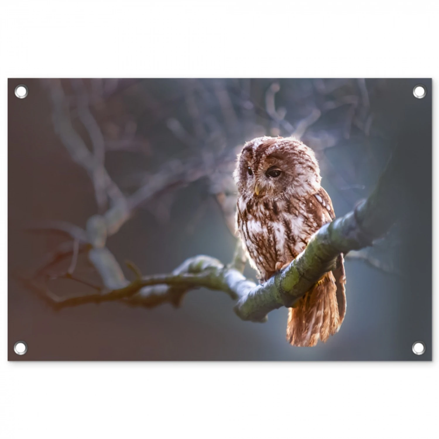 Vogel - Uil - Steenuil tuinposter los doek klein -3d