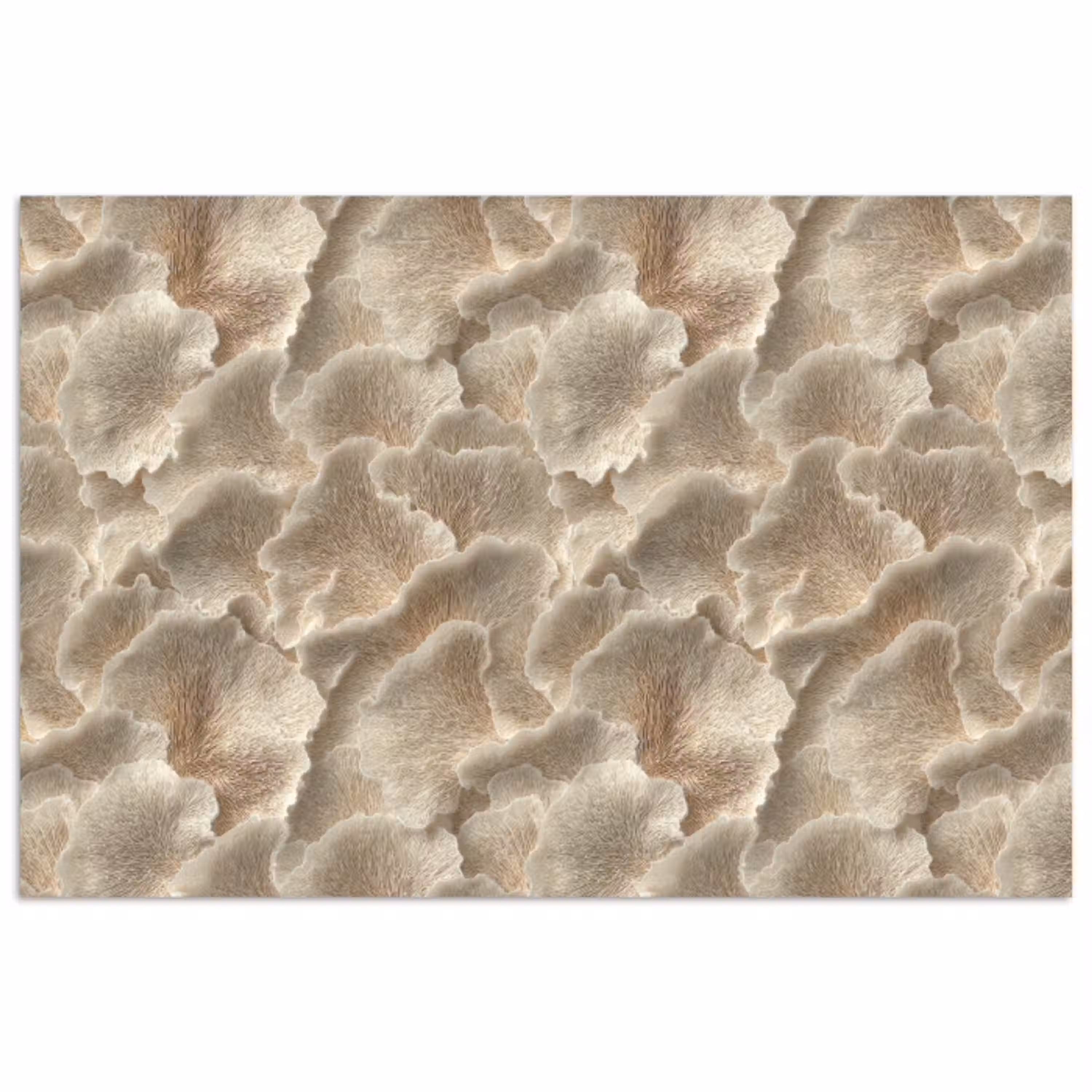 Waaierstructuren - Beige - Vezeltextuur poster papier klein 62 -3d
