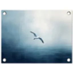 Meeuw - Wit - Zee - Mistig tuinposter los doek klein -3d