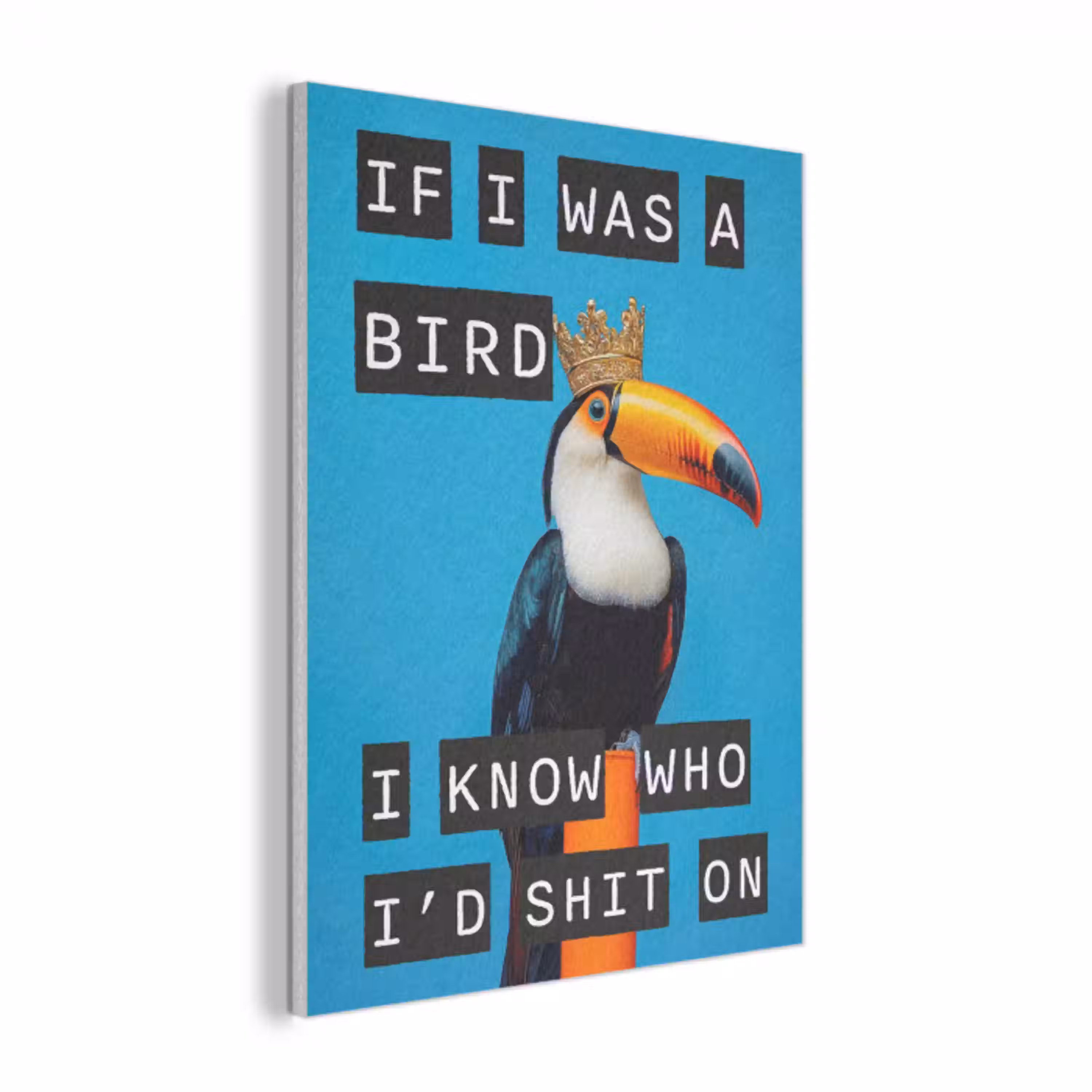 Vogel - Toekan - Blauw - Quotes PET vilt klein -3d