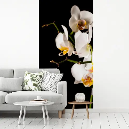 Orchidee - Bloemen - Planten - Botanisch fotobehang vinyl groot -woonkamer