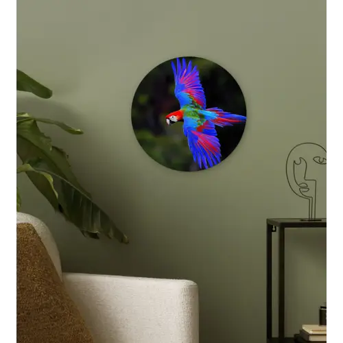 Felgekleurd - Papegaai - Bos - Vleugels Wandcirkel kunststof plaat 5mm dik klein -sfeer3