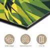 Papegaai - Groen - Snavel - Abstract aluminium wit klein -closeup_NL