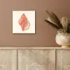 Schelp - Roze - Structuur aluminium wit klein -sfeer4