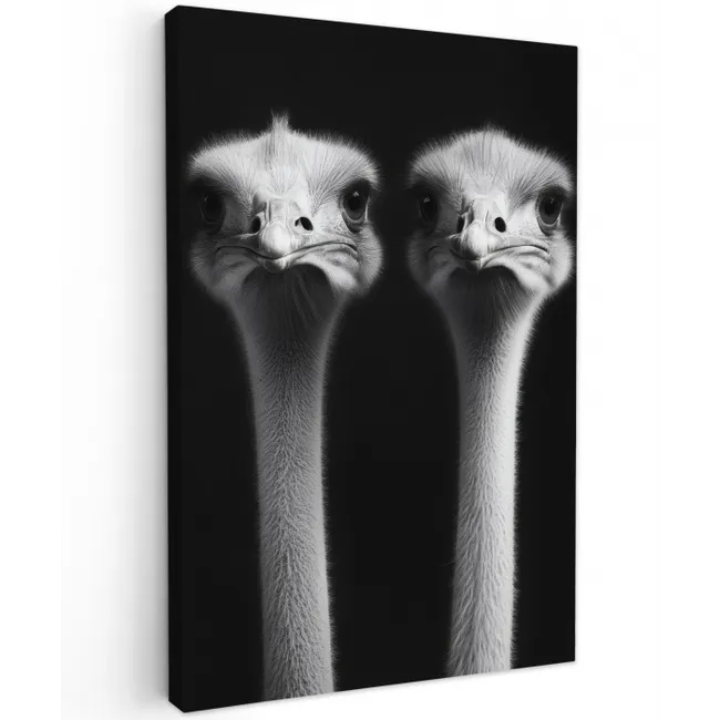 Struisvogels - Halzen - Zwart - Minimalistisch canvas 2cm klein -z3d