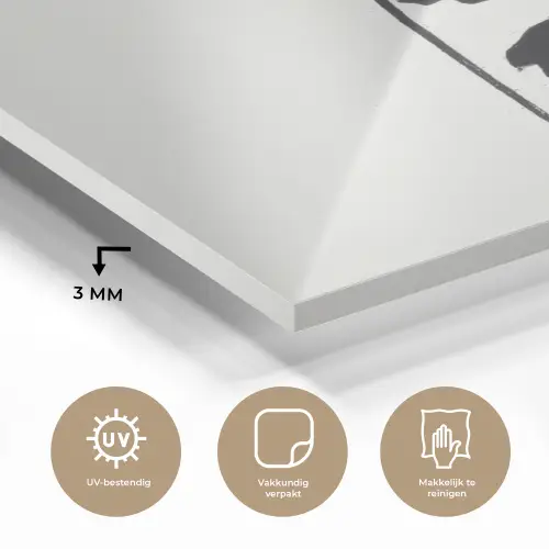 Bladeren - Zwart - Lotusbloem - Minimalitisch plexiglas 5mm klein -sfeer2