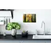 Bos - Zon - Bomen - Gras - Landschap Muursticker klein -keuken