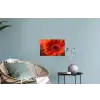 Oranje - Gerbera - Intens Muursticker klein -plant