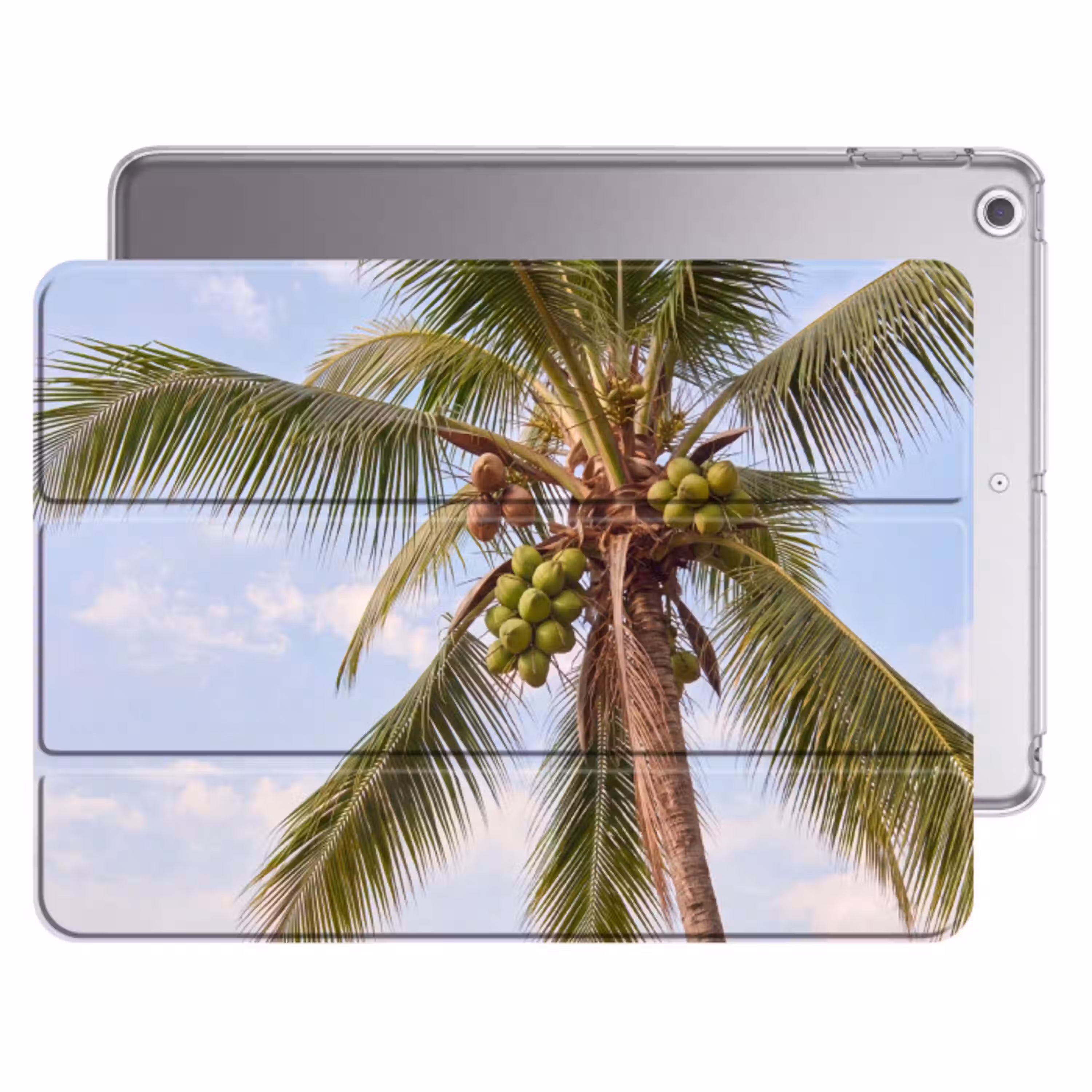 Kokosnoot - Boom - Tropisch - Natuur - Groen Apple iPad 2017 middel -threedimensional_3d_global