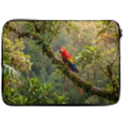 Ara - Jungle - Rood laptophoes neopreen klein -zkaufland3dotto