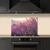 Lavendel - Paars - Zonlicht keuken achterwand spatscherm klein -sfeer1