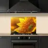 Zonnebloem - Dauwdruppels - Geel - Zonlicht keuken achterwand spatscherm klein -sfeer1