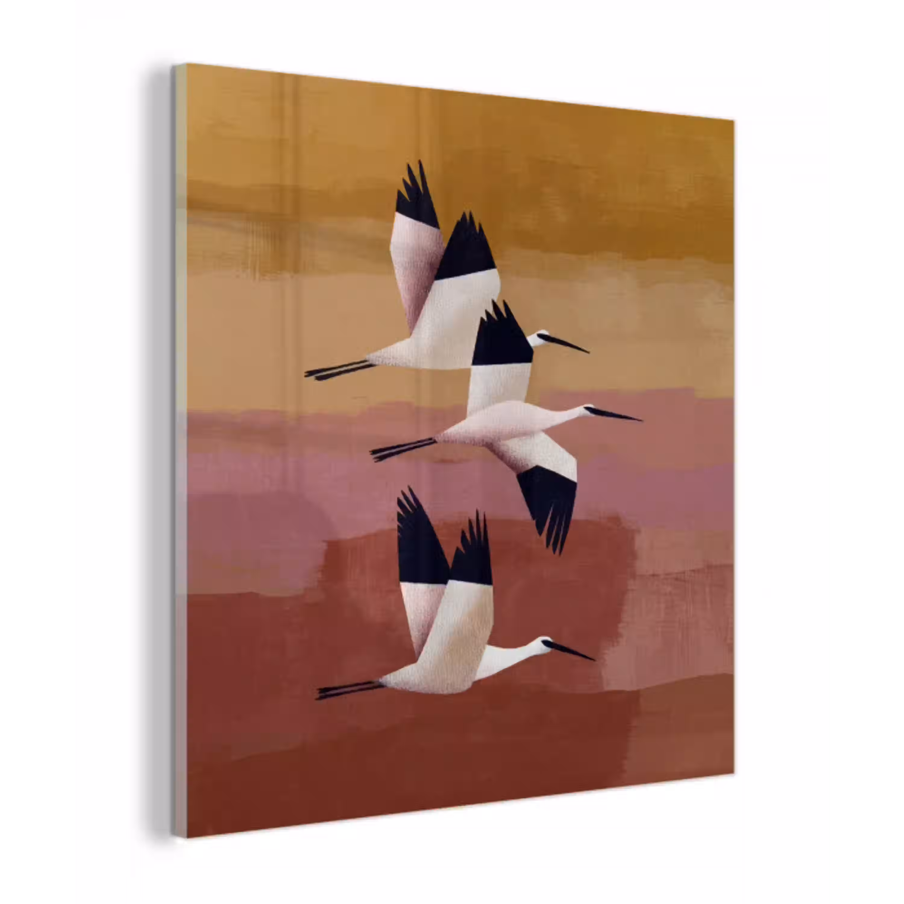 Vogels - Snavel - Abstract plexiglas 5mm klein -z3d