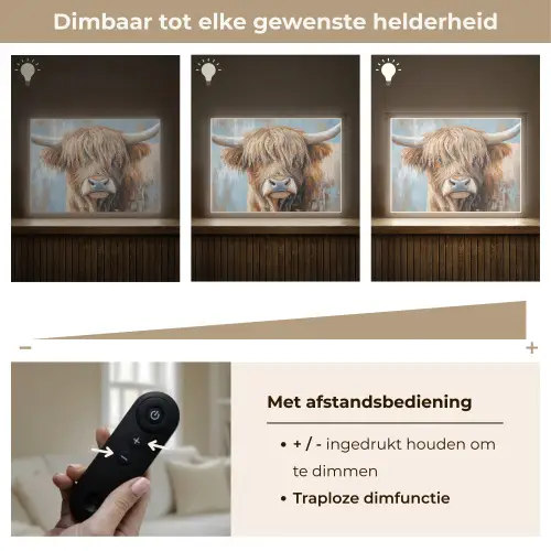 Schotse hooglander - Dieren - Koe - Street art Light Box met batterij (Wandlamp) middel -USP_dimbaarNL