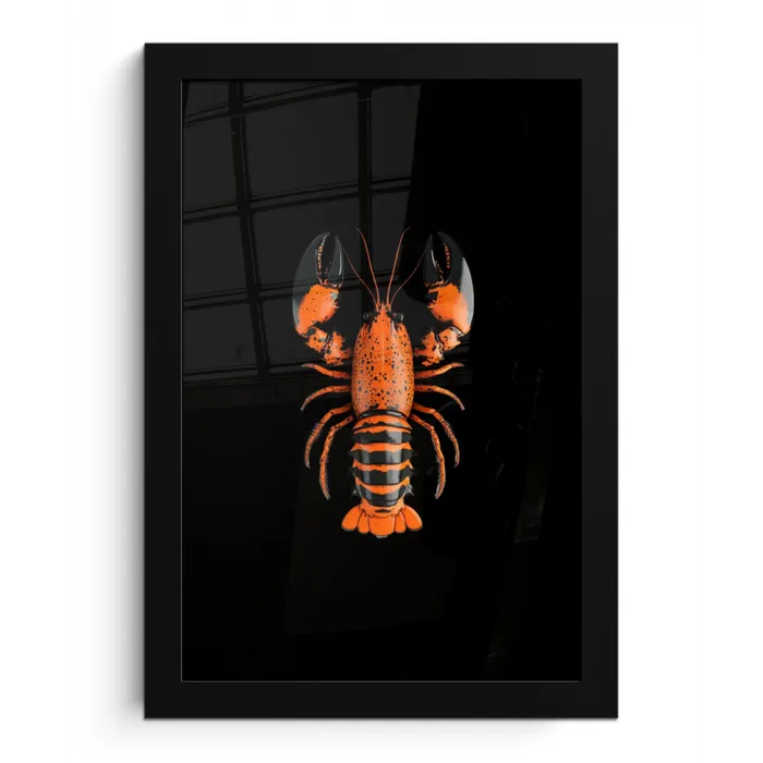 Kreeft - Oranje - Zwart - Modern fotolijst zwart zonder passe partout klein -3d