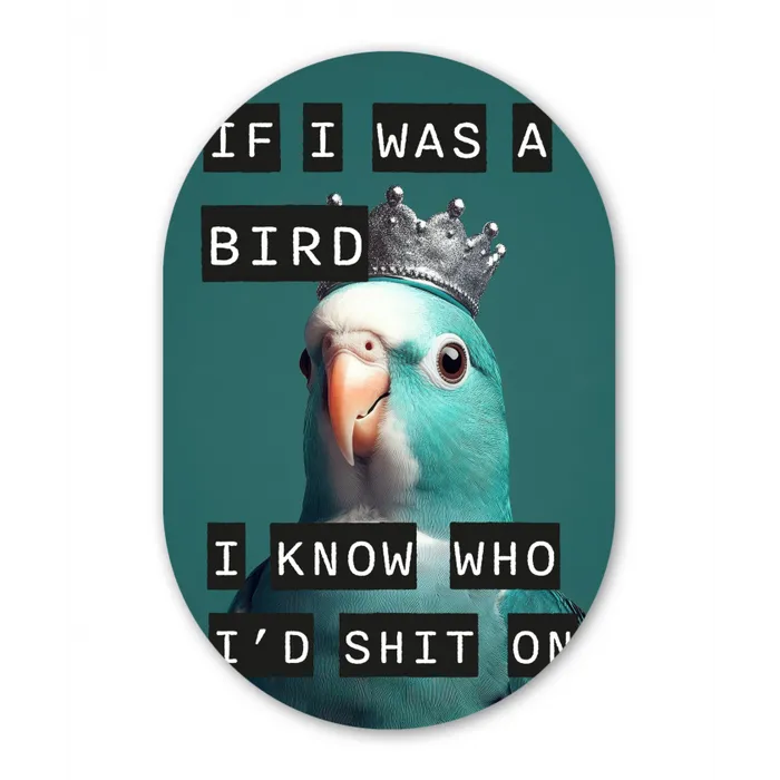 Parkiet - Turquoise - Quotes - Decoratie Wandcirkel Ovaal Forex klein -3d