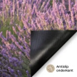 Lavendel - Landschap - Sereen - Paars Deurmat klein -antislip_NL