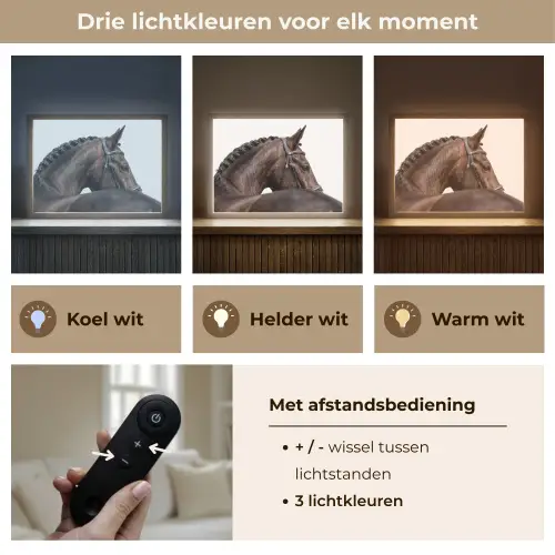 Portret - Paard - Elegant Light Box met batterij (Wandlamp) middel -USP_lichtkleurNL