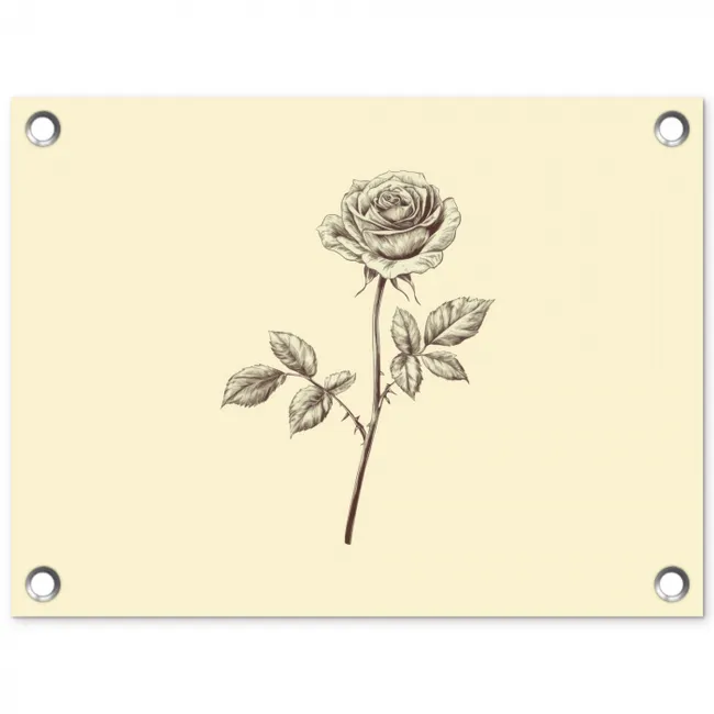 Illustratie - Zwart - Roos tuinposter los doek klein -3d