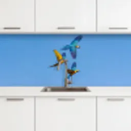Papagaai - Vliegen - Blauw - Geel keuken achterwand 2 middel -3d