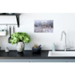 Schermbloem - Rijp - Kristallen - Winter - Delicaat Muursticker klein -keuken
