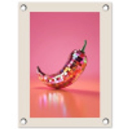 Disco - Peper - Roze tuinposter los doek klein -3d