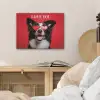 Hond - Hartjesbril - Loveyou - Rood PET vilt klein -sfeer3