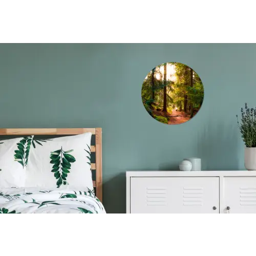 Bos - Pad - Bomen - Groen - Zon - Natuur Wandcirkel aluminium klein -slaapkamer