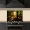 Zon - Bomen - Bos - Landschap - Natuur keuken achterwand spatscherm klein -sfeer1