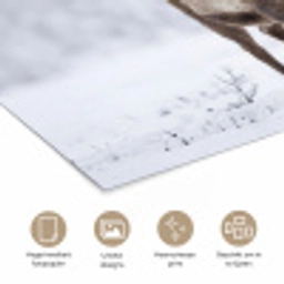 Rendier - Gewei - Toendra - Sneeuw - Wild poster papier klein -closeup_NL