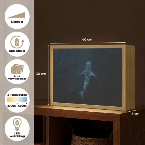 Oceaan - Walvishaai - Donkerblauw - Vlekken Light Box met batterij (Wandlamp) middel -USP_websiteoverzichtNL