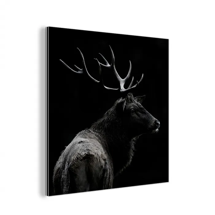 Hert - Zwart - Portret - Gewei - Dieren aluminium wit klein -3d