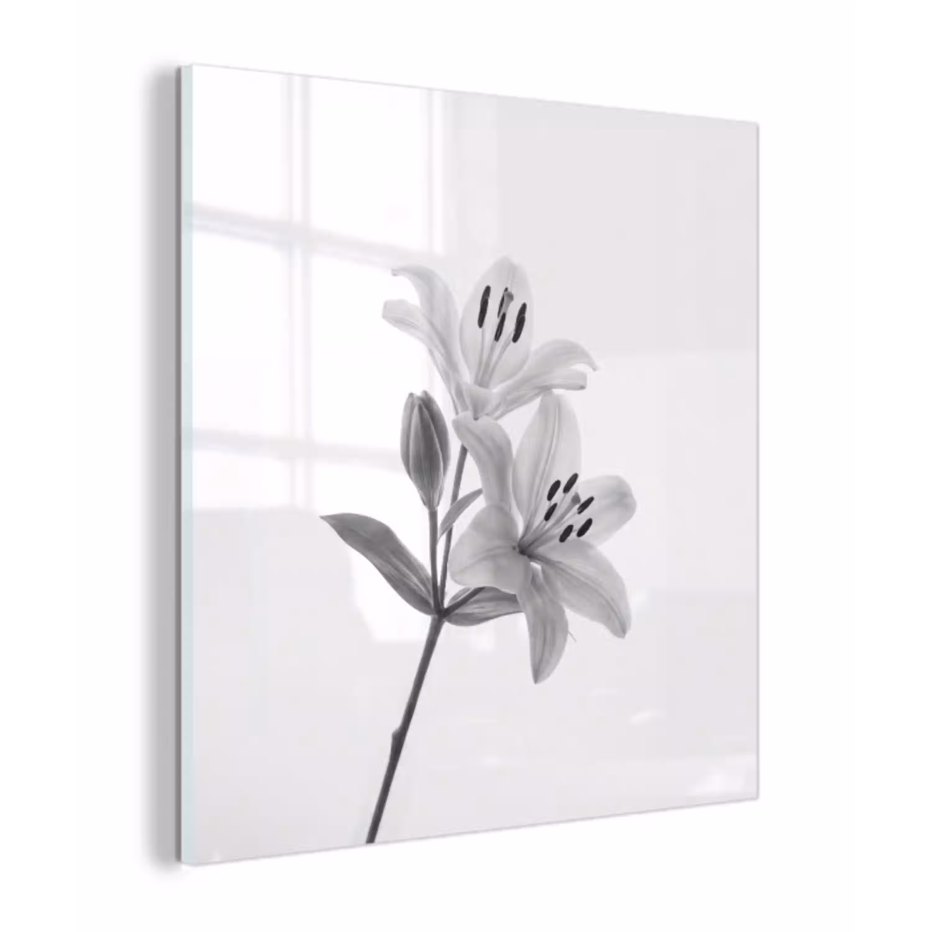 Lelies - Elegant - Zwart - Wit plexiglas 5mm klein -z3d