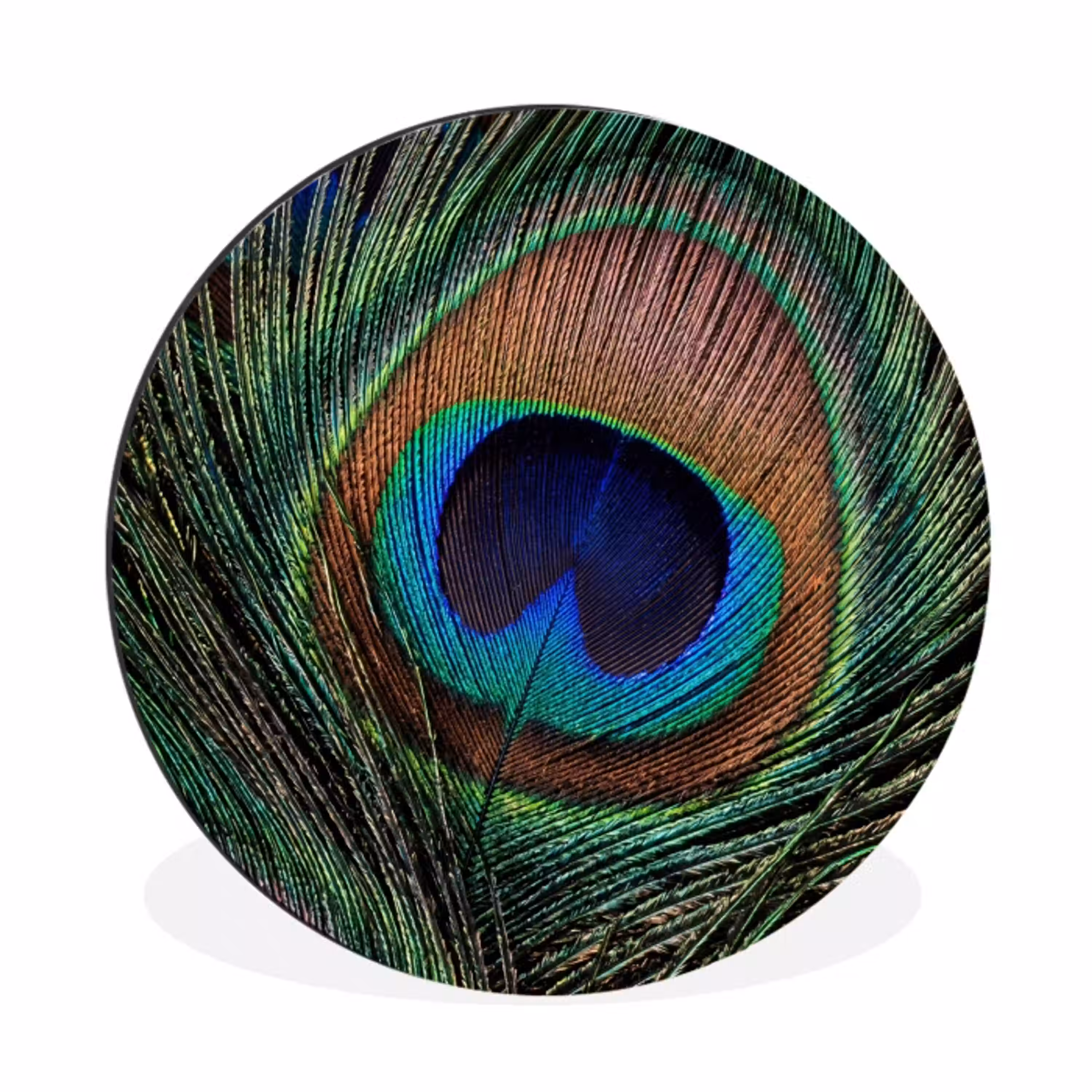 Pauwenveren - Klassiek - Groen Wandcirkel aluminium klein -3d
