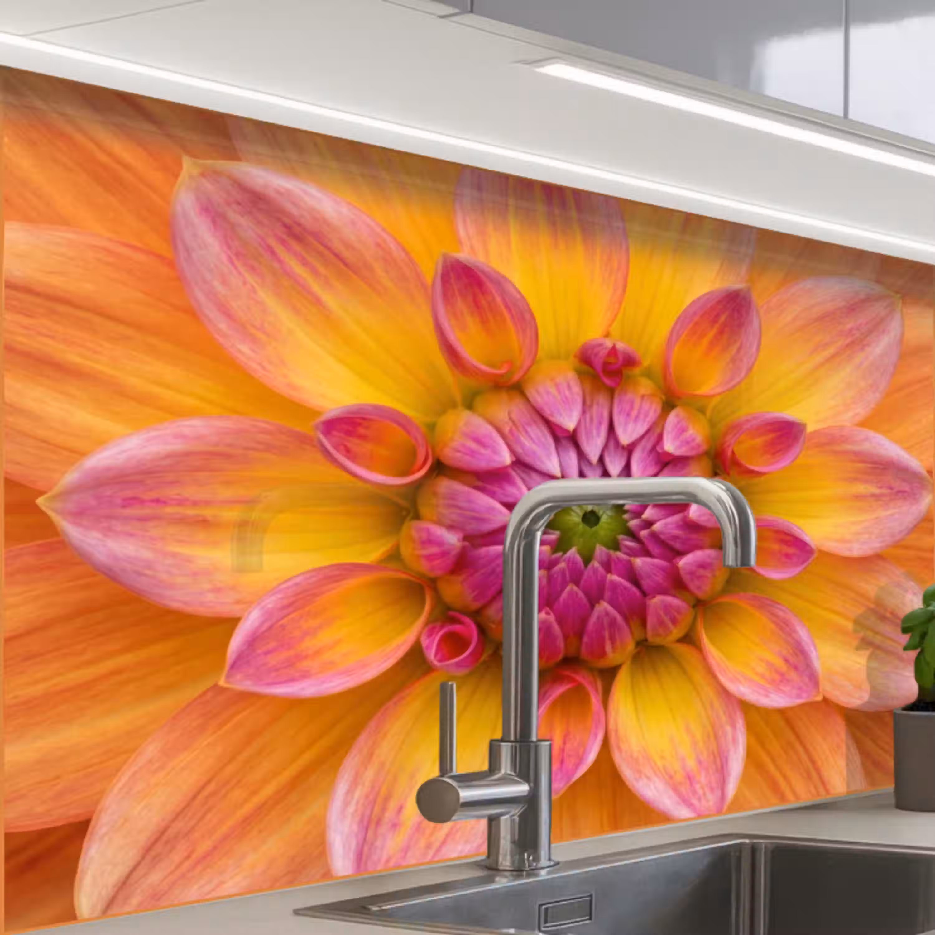 Dahlia - Bloem - Oranje keuken achterwand 2 middel -zzzz3d_schuin