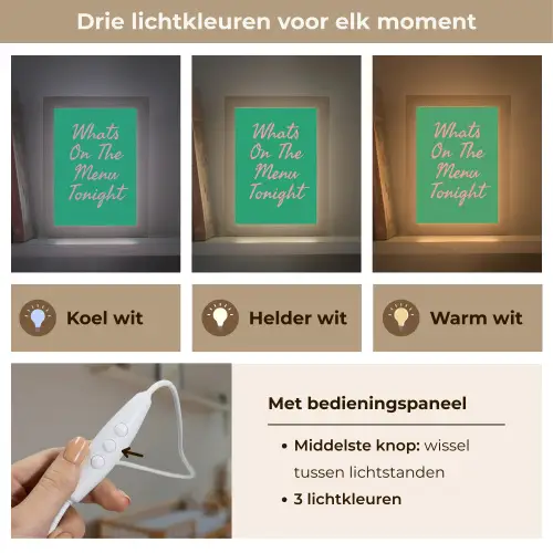 Menu - Quote - Roze Light Box met kabel (Wandlamp) klein -USP_lichtkleurNL