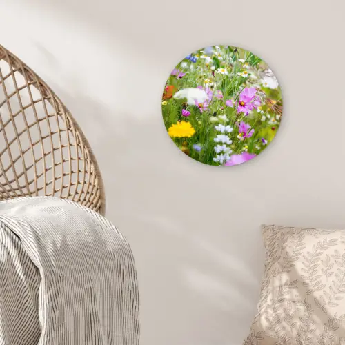 Bloemen - Natuur - Groen - Gras - Paars - Wit Wandcirkel kunststof plaat 5mm dik klein -sfeer5