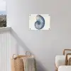 Blauw - Schelp - Spiraal tuinposter los doek klein -sfeer8