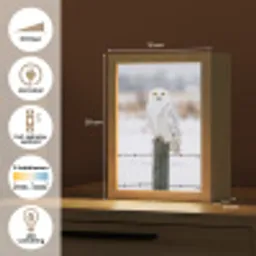 Sneeuwuil - Hek - Sneeuw - Wit Light Box met kabel (Kinderlampje) klein -USP_NL