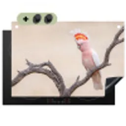 Papagaai - Tak - Roze Inductie beschemer met haakjes klein -3d