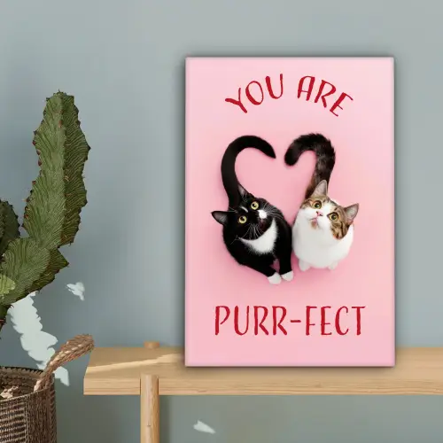 Kat - Hart - Tekst - Valentijn canvas 2cm klein -sfeer4