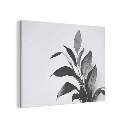 Plant - Bladeren - Minimalistisch - Zwart PET vilt klein -3d