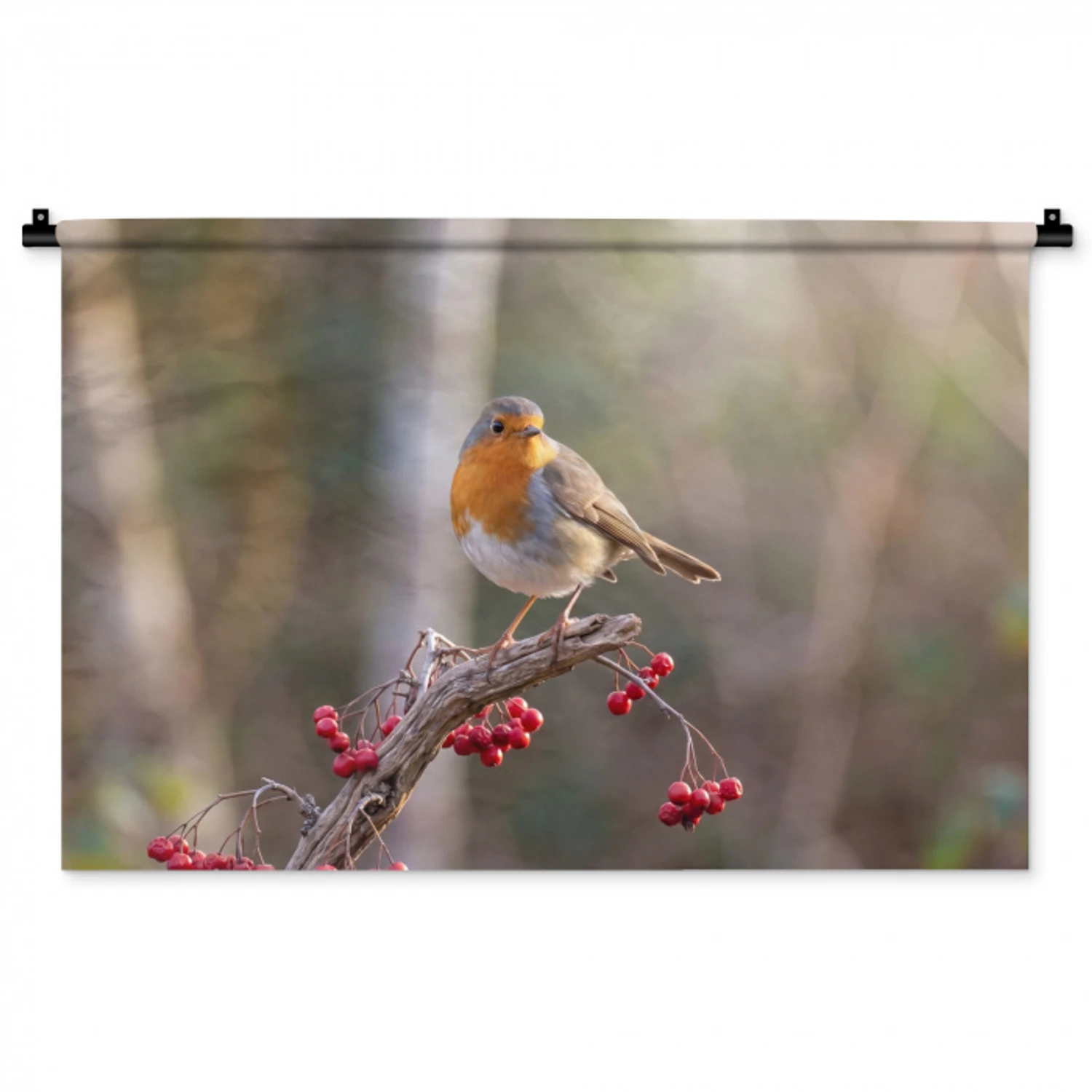 Roodborst - Tak - Bessen - Natuur Wandkleed katoen middel -zz3d