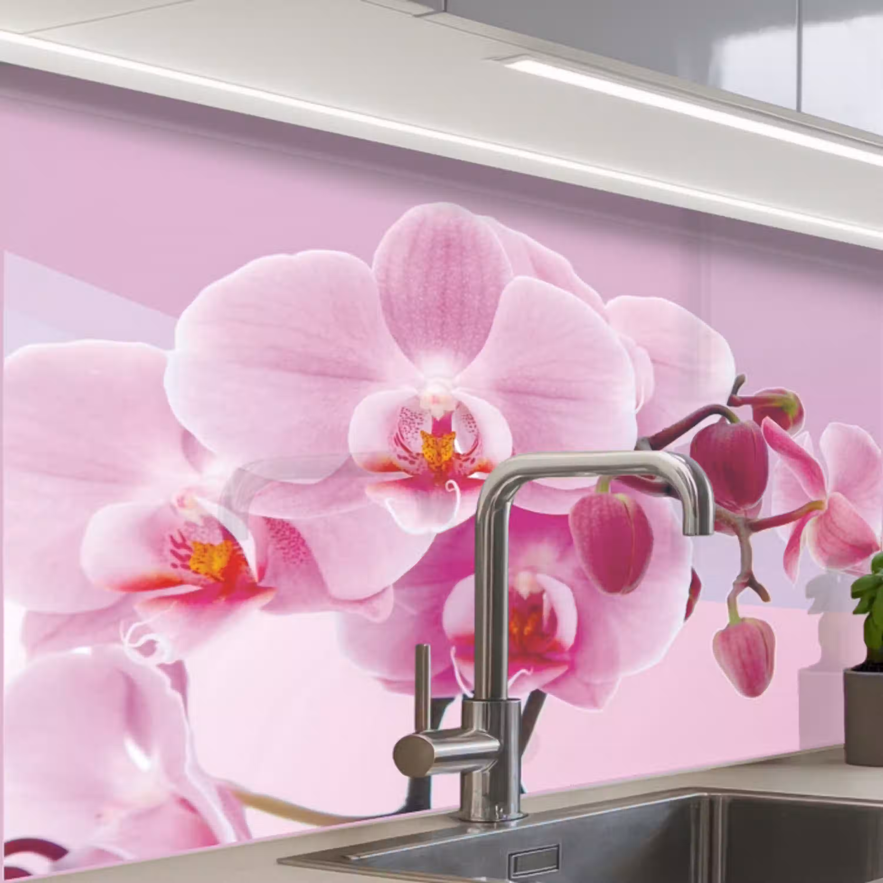 Bloemen - Orchidee - Roze keuken achterwand 2 middel -zzzz3d_schuin