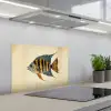 Vis - Tropisch - Strepen - Vinnen keuken achterwand spatscherm klein -3d_schuin