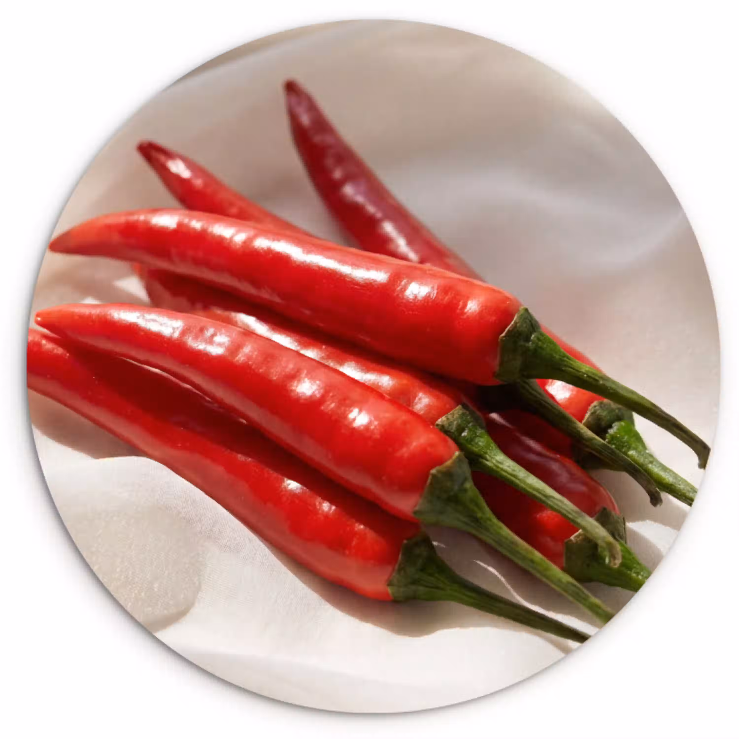 Peper - Rood - Eten Wandcirkel plexiglas klein -3d