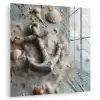 Anker - Hout - Schelpen - Zand plexiglas 5mm klein -zzzproduct_nieuw