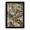 Vintage - Kunst - Ernst Haeckel - Salamanders - Dieren fotolijst zwart zonder passe partout klein -3d