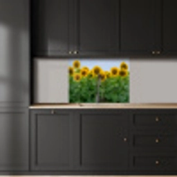 Zonnebloemen - Geel - Natuur keuken achterwand 2 middel -sfeer1